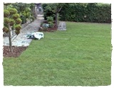 Zakładanie ogrodów w Kartuzy, trawnik z rolki typ Banino. Trawa z rolki